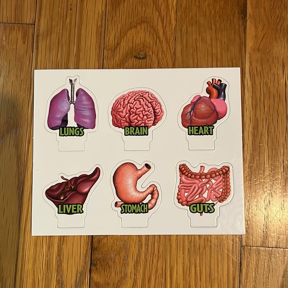 Doctor Dreadful Board Game - NEW - Educational Science Game - Picture 3 of 8